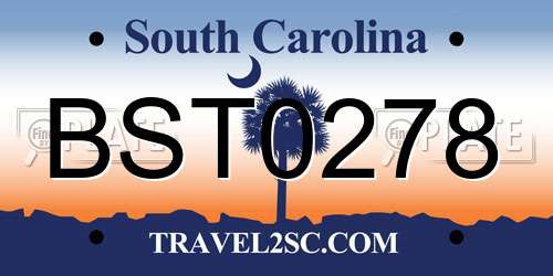 BST0278 South Carolina License Plate