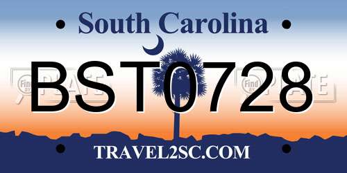 BST0728 South Carolina License Plate