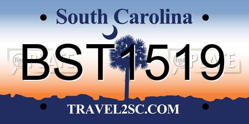 BST1519 South Carolina License Plate