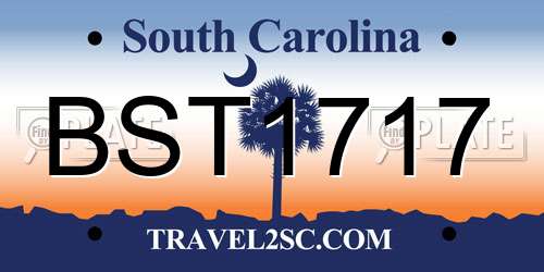 BST1717 South Carolina License Plate