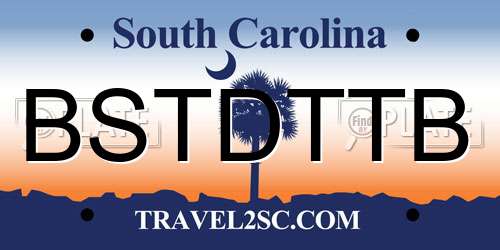 BSTDTTB South Carolina License Plate