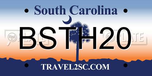 BSTH20 South Carolina License Plate