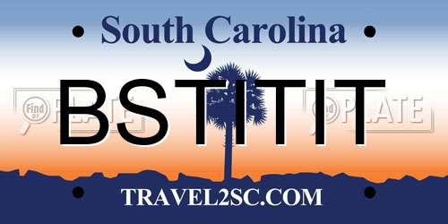 BSTITIT South Carolina License Plate