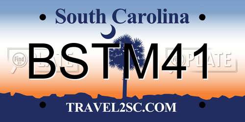 BSTM41 South Carolina License Plate