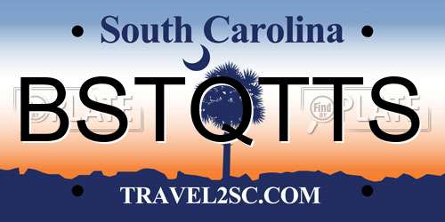 BSTQTTS South Carolina License Plate
