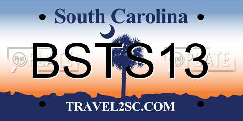BSTS13 South Carolina License Plate
