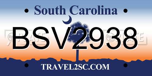 BSV2938 South Carolina License Plate