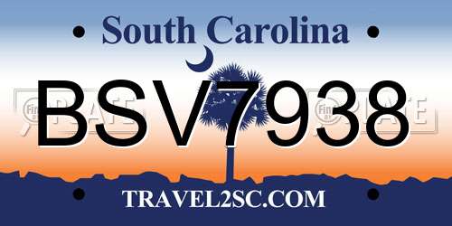 BSV7938 South Carolina License Plate
