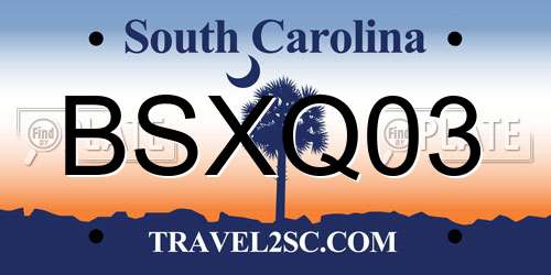 BSXQ03 South Carolina License Plate