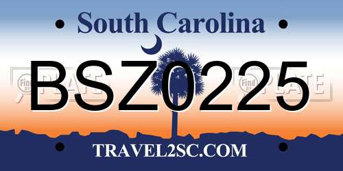 BSZ0225 South Carolina License Plate