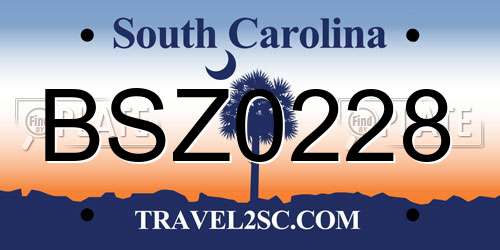 BSZ0228 South Carolina License Plate
