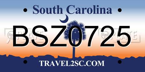 BSZ0725 South Carolina License Plate