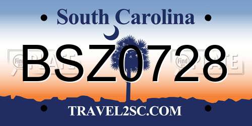 BSZ0728 South Carolina License Plate