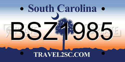 BSZ1985 South Carolina License Plate