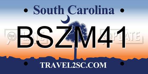 BSZM41 South Carolina License Plate