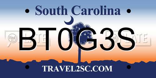 BT0G3S South Carolina License Plate