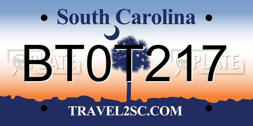 BT0T217 South Carolina License Plate