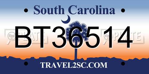 BT36514 South Carolina License Plate