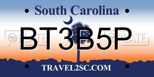 BT3B5P South Carolina License Plate