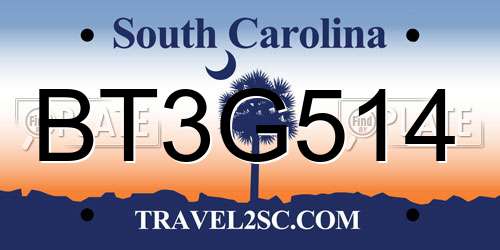 BT3G514 South Carolina License Plate