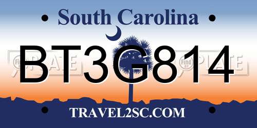 BT3G814 South Carolina License Plate