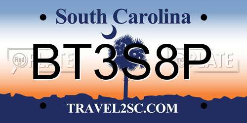 BT3S8P South Carolina License Plate