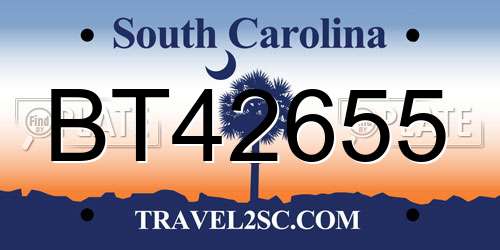 BT42655 South Carolina License Plate