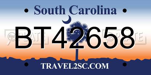 BT42658 South Carolina License Plate