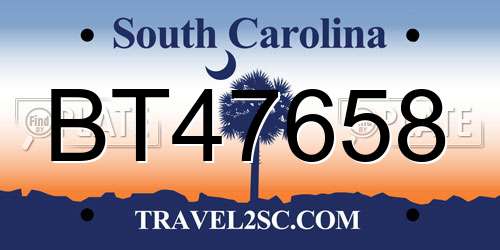 BT47658 South Carolina License Plate