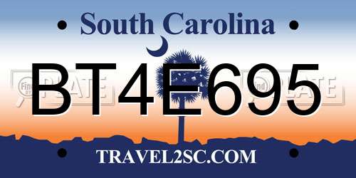 BT4E695 South Carolina License Plate