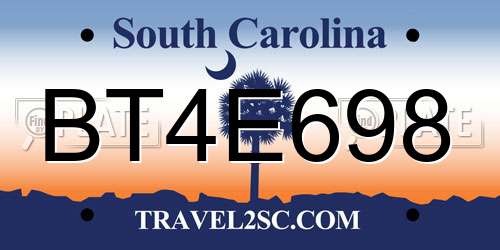 BT4E698 South Carolina License Plate
