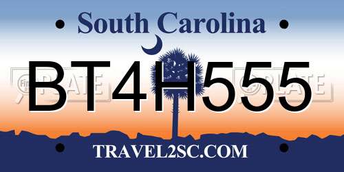 BT4H555 South Carolina License Plate