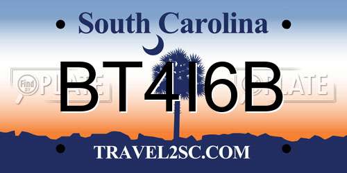 BT4I6B South Carolina License Plate