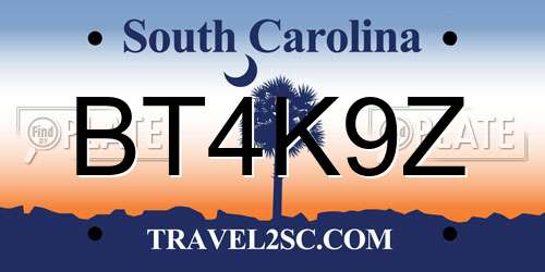 BT4K9Z South Carolina License Plate