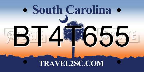 BT4T655 South Carolina License Plate
