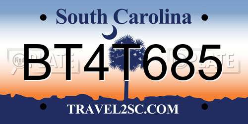 BT4T685 South Carolina License Plate