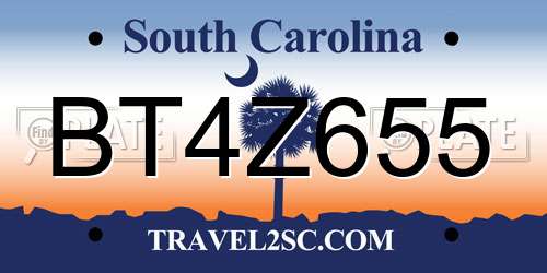 BT4Z655 South Carolina License Plate