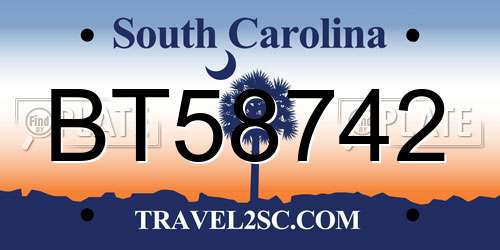 BT58742 South Carolina License Plate