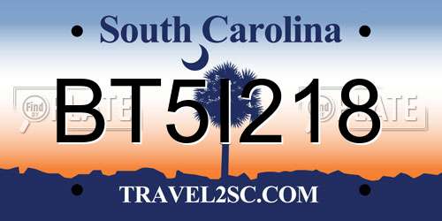 BT5I218 South Carolina License Plate