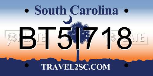 BT5I718 South Carolina License Plate