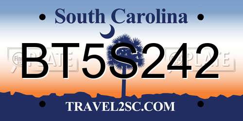 BT5S242 South Carolina License Plate