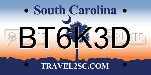 BT6K3D South Carolina License Plate