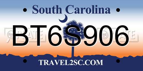 BT6S906 South Carolina License Plate