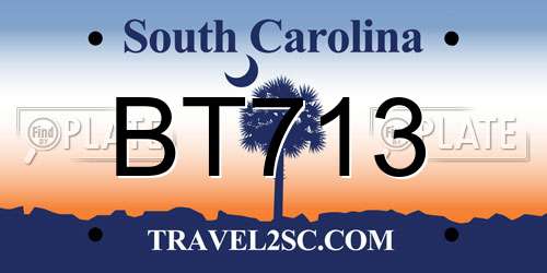 BT713 South Carolina License Plate