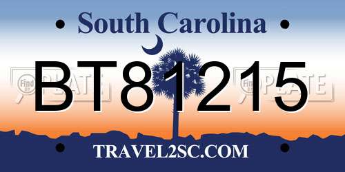 BT81215 South Carolina License Plate