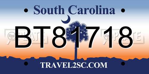 BT81718 South Carolina License Plate