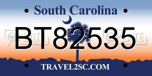 BT82535 South Carolina License Plate