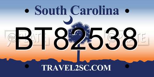 BT82538 South Carolina License Plate