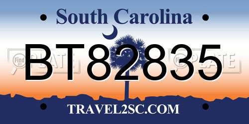 BT82835 South Carolina License Plate