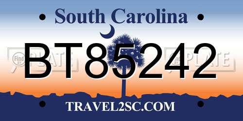 BT85242 South Carolina License Plate